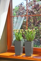 Fantasy donica szara 14x26cm