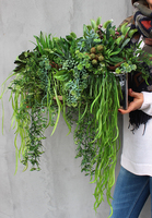 Anya 4, piękna kompozycja Sukulenty, w lustrzanej donicy, wys.30cm