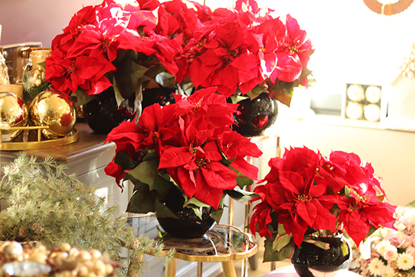 Gwiazda Betlejemska III, wysokiej jakości sztuczna roślina, wym.42cm