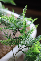 girlanda / dekoracja roślinna Wild Fern, wym.160cm