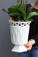 Miresa, storczyk w białej koronkowej donicy, wys.80cm