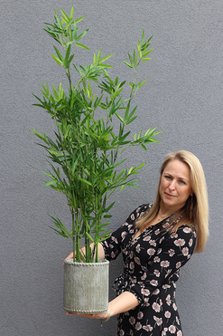 sztuczny bambus w donicy Renite, wys.122cm