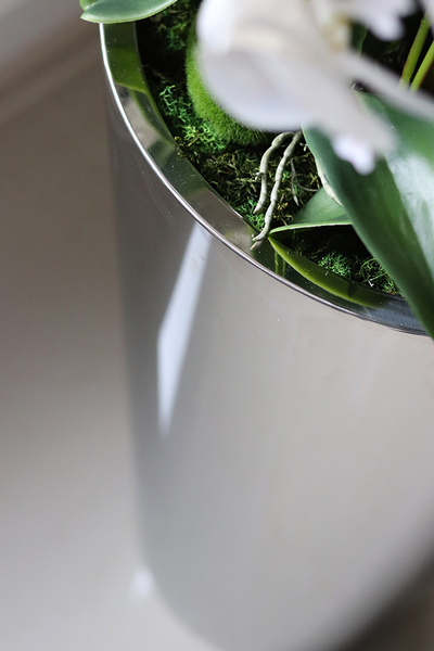 ekskluzywny storczyk w metalowej donicy, Moderno Mirror Round, wys.151cm 