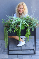 Asia Modern Resato, sukulenty w donicy na stojaku, wys.95x77x40cm