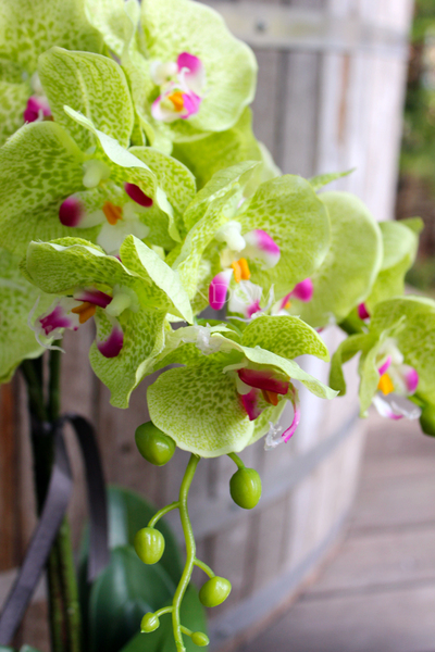 jasnozielony silikonowy storczyk Green House, wys.62cm