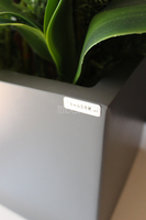 bardzo duży storczyk & sukulenty Simple Grande Grey, wys.90cm