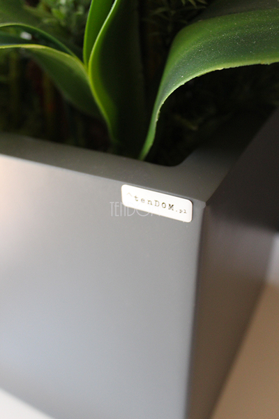 bardzo duży storczyk & sukulenty Simple Grande Grey, wys.90cm