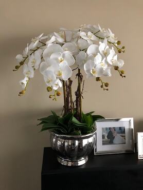 Srebrna Weranda, elegancki storczyk w wazonie Glamour, wys.74cm