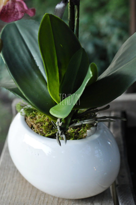 sztuczny storczyk Manolo w szlachetnej donicy, wys.45cm