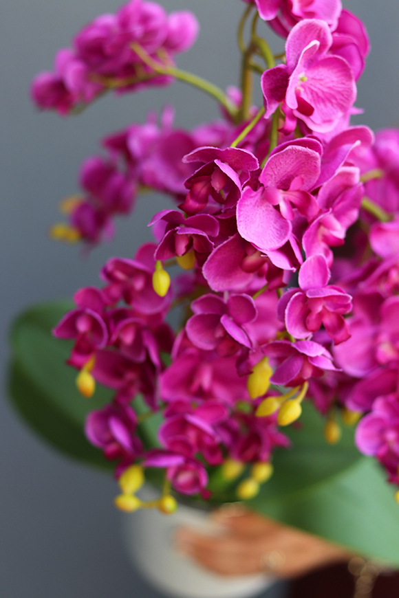 elegancki storczyk Fuksja Girl w białej donicy, wys.45cm