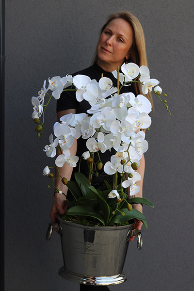 Champagne Cooler ekskluzywny storczyk sztuczny w coolerze, wys.85cm