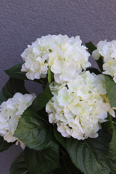 doniczkowa hortensja Biała, wysokiej jakości sztuczne kwiaty, wys.40cm