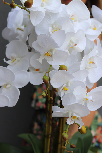 Ungaro Small, sztuczny storczyk w lustrzanej donicy, wys.75cm