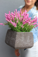 Wrzośce, kompozycja kwiatowa w ceramicznej kwadratowej donicy, wys.33cm