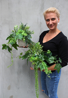 komplet 2 kompozycji w betonowych donicach z sukulentami Renno, wys.30cm