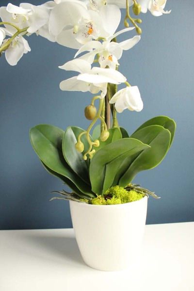 Modern White storczyk w kremowej osłonce, wys.58cm