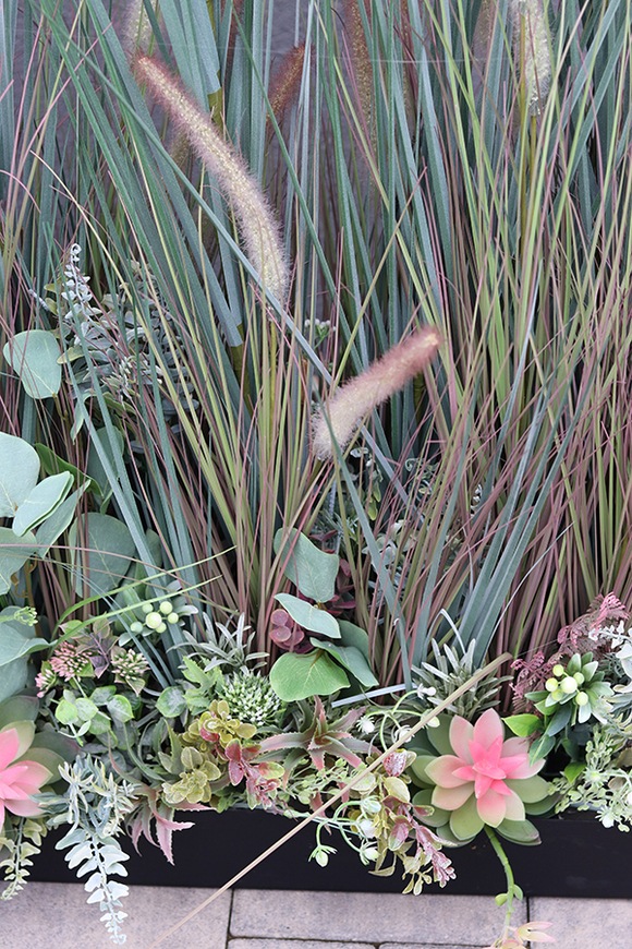 Albertina Saute, kompozycja z traw i sukulentów w gąbce florystycznej, dł.1m, wys.135cm