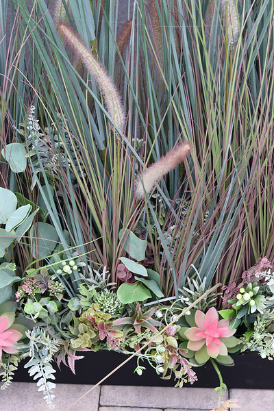 Albertina Saute, kompozycja z traw i sukulentów w gąbce florystycznej, dł.1m, wys.135cm