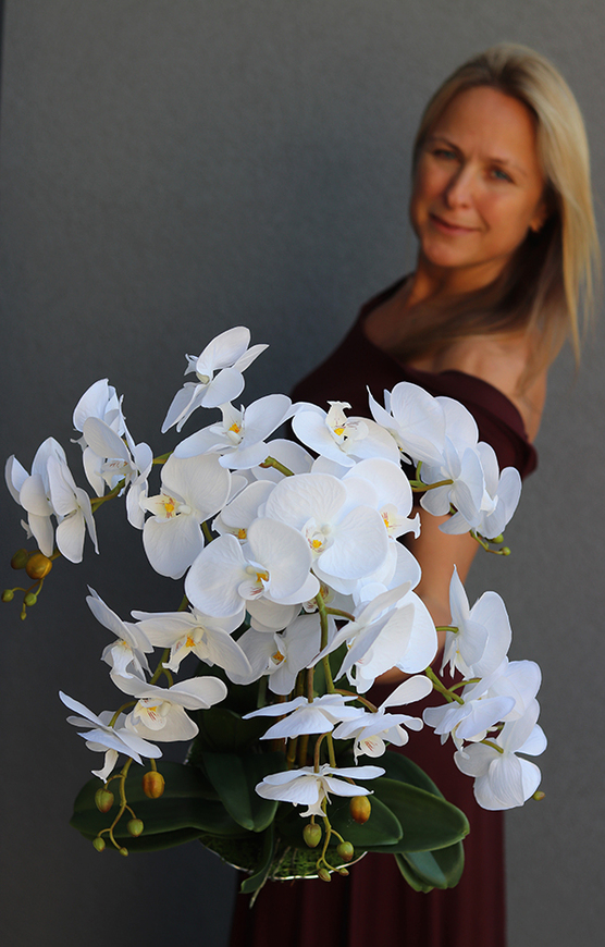 elegancki storczyk w srebrnej misie, Silver Time, wys.54cm