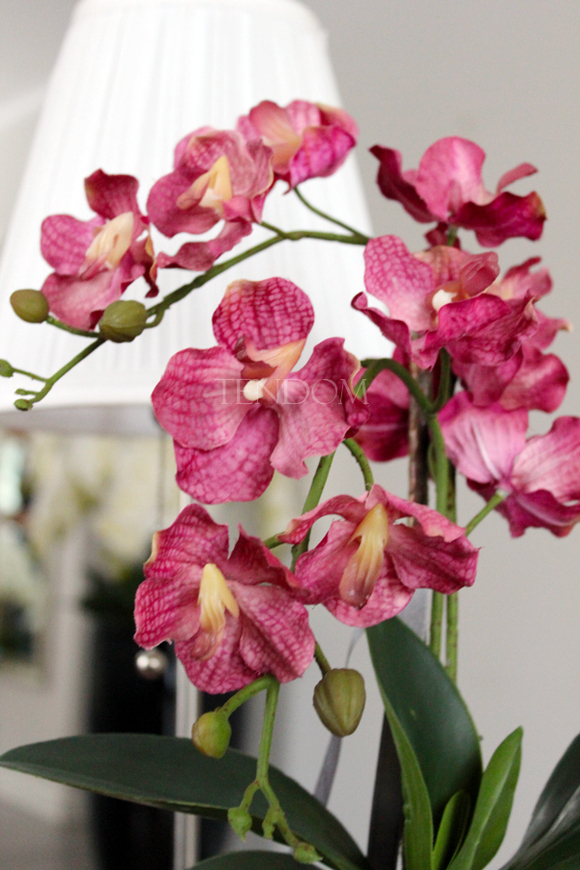 sztuczny storczyk Manolo w szlachetnej donicy, wys.45cm