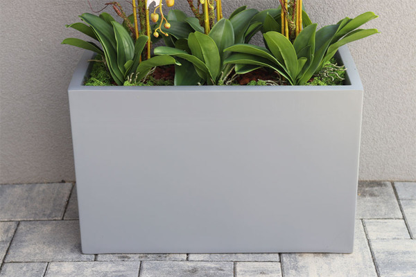 Hotel Design Grey Grande w donicy, dużych rozmiarów kompozycja, wys.105cm 