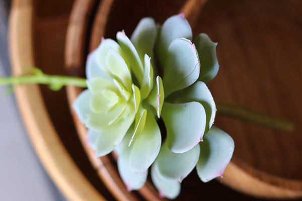 gumowa sztuczna roślina, Sukulent siwozielony 86, wym.25cm