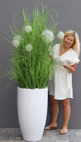 Grande Dandelion Fiberglass White, trawa w białej donicy z dmuchawcami, wys.185cm