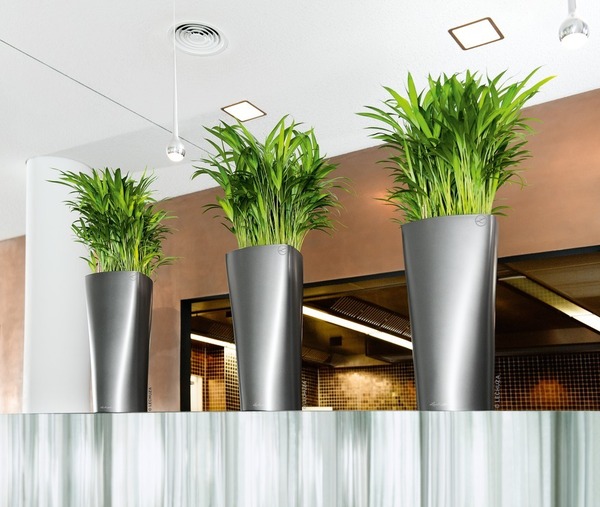 Delta Premium, elegancka donica z nawadnianiem, antracyt, wys.56cm