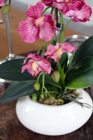 sztuczny storczyk Manolo w szlachetnej donicy, wys.45cm