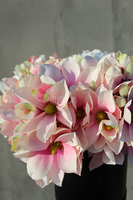 kompozycja kwiatowa / bukiet Flowerbox magnolia + czerń wys.50cm