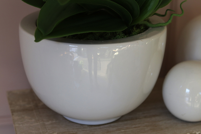 Rebeka, elegancki storczyk w minimalistycznej donicy, wys.70cm