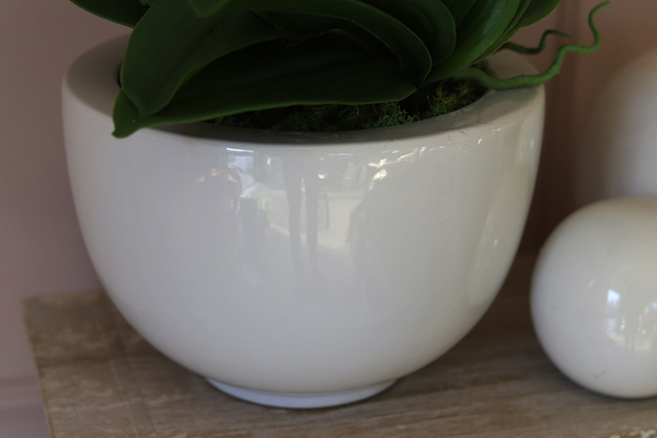 Rebeka, elegancki storczyk w minimalistycznej donicy, wys.70cm