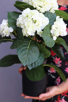 doniczkowa hortensja Biała, wysokiej jakości sztuczne kwiaty, wys.40cm