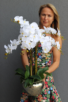 Ungaro Small, sztuczny storczyk w lustrzanej donicy, wys.75cm