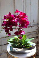 sztuczny storczyk w naczyniu glamour, Fuksja Manfredo Helga, wys.48cm