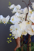 Eduardo Silver, gumowy storczyk w srebrnej metalowej donicy, wys.70cm