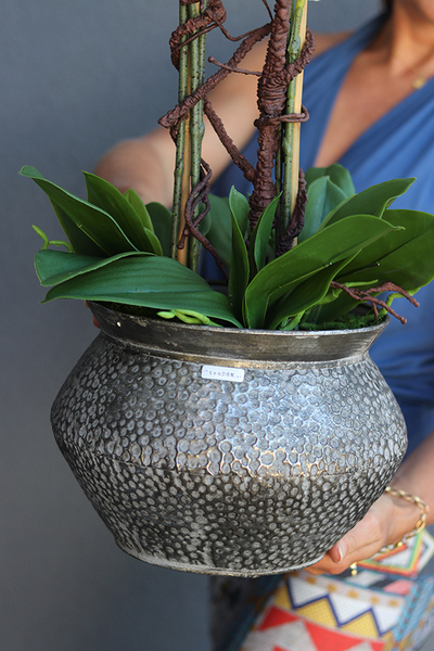 Eduardo Silver, gumowy storczyk w srebrnej metalowej donicy, wys.70cm