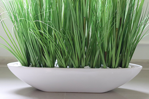 efektowna kompozycja ze sztucznych traw, Papirus Ordonia Laos, wys. 115cm 