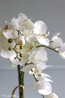 Białe Manfredo, sztuczny storczyk w białej donicy, wys.60cm