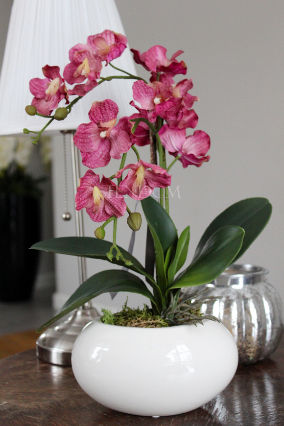 sztuczny storczyk Manolo w szlachetnej donicy, wys.45cm