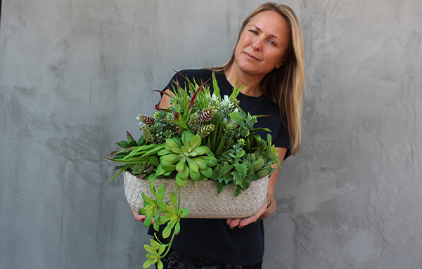 Big Monett, kompozycja sukulenty w ceramicznym naczyniu, wym.32x35x20cm