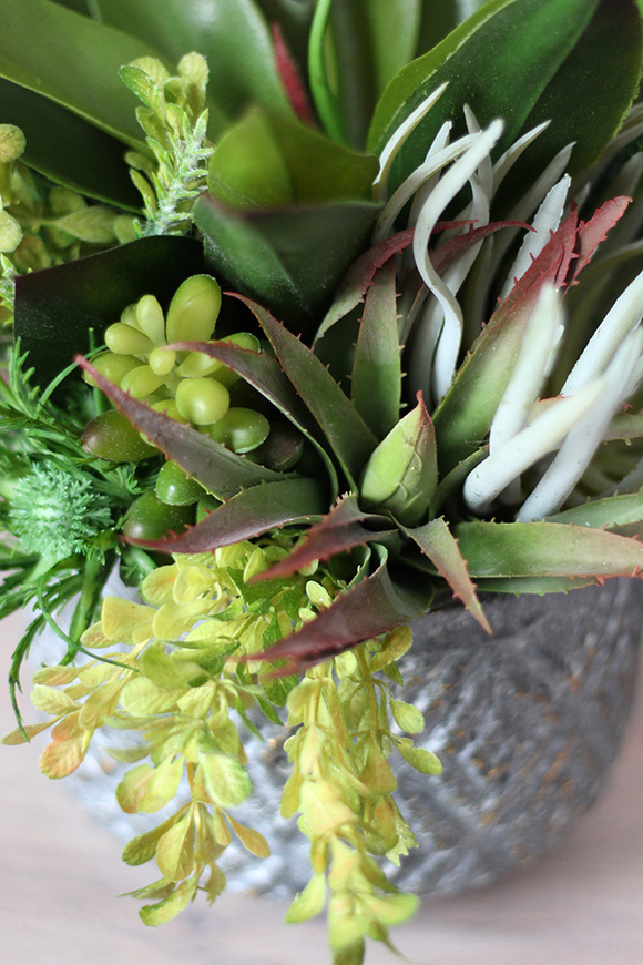 elegancka kompozycja z sukulentów, Rellesso Big, wys.58cm