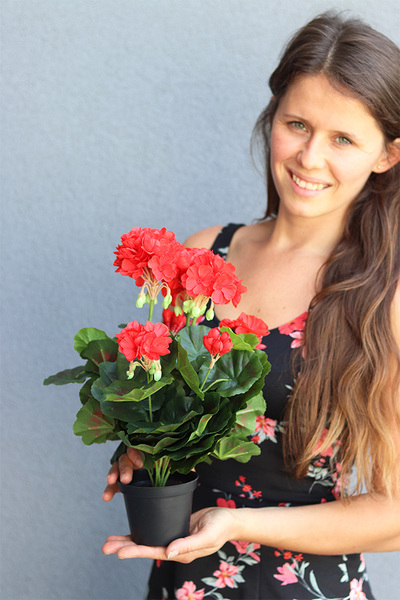 doniczkowa pelargonia Czerwona, wysokiej jakości sztuczne kwiaty, wys.36cm