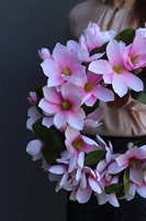 Magnolia Pink, wianek z kwiatów magnolii, śr.45cm