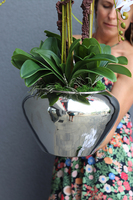 Ungaro Small, sztuczny storczyk w lustrzanej donicy, wys.75cm