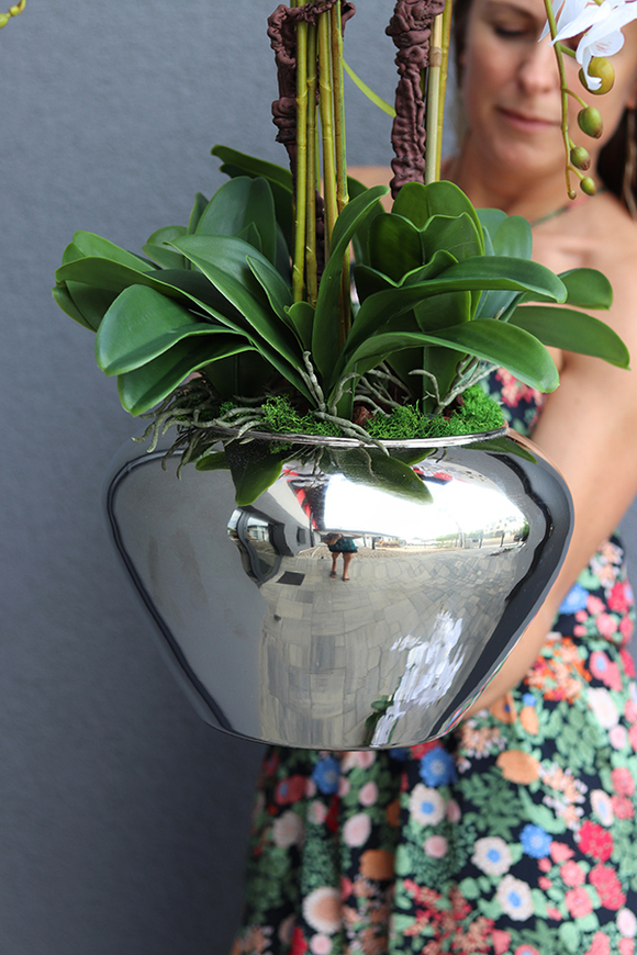 Ungaro Small, sztuczny storczyk w lustrzanej donicy, wys.75cm