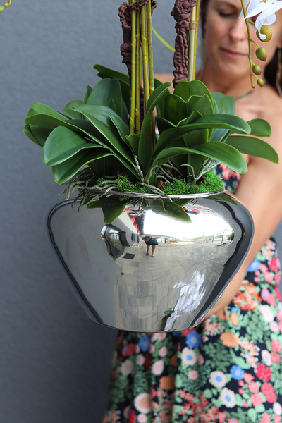 Ungaro Small, sztuczny storczyk w lustrzanej donicy, wys.75cm