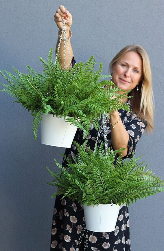 kompozycja w wiszącej donicy, Paproć Naturales, wys.38cm 