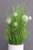 Grande Dandelion Fiberglass White, trawa w białej donicy z dmuchawcami, wys.185cm