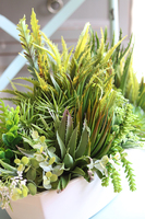 Gerra Sukulenty, zielona kompozycja w białej donicy, wym.28x46cm
